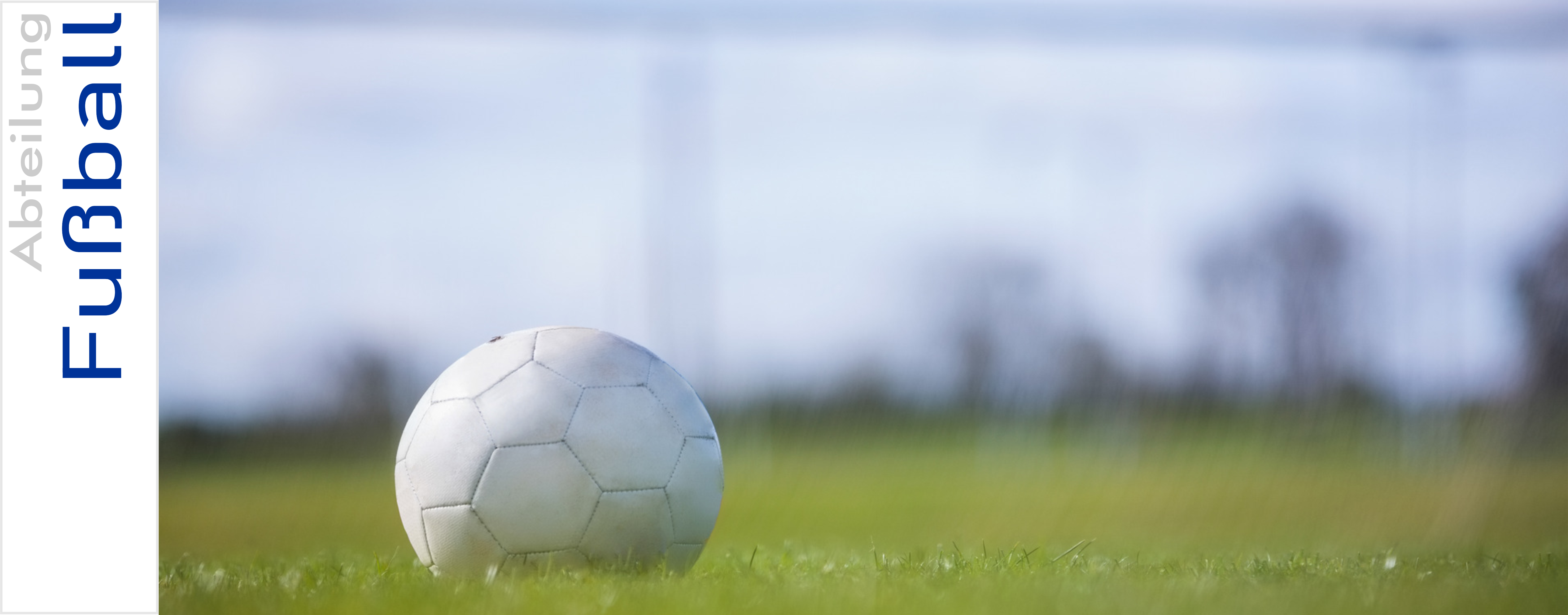abt_fußball